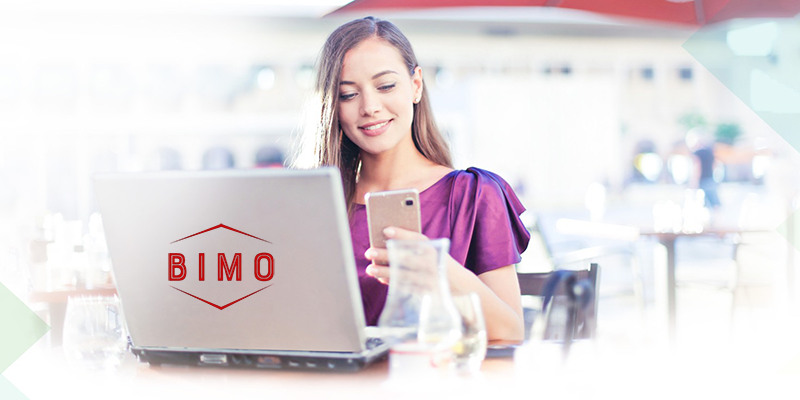 vay-bimo.png
